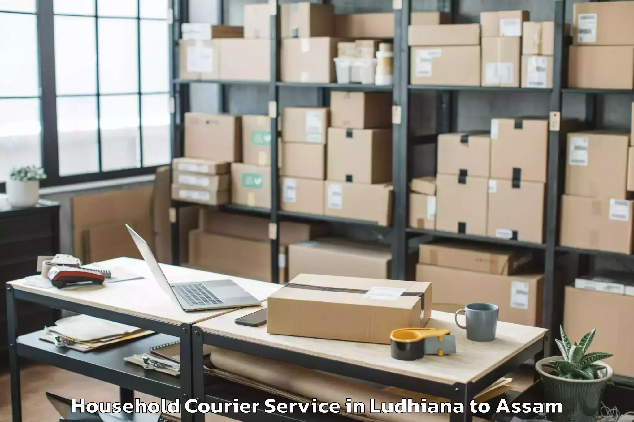 Trusted Ludhiana to Dalgaon Household Courier